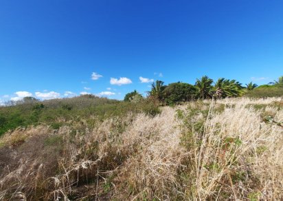 Terrain résidentiel - 4920 m²