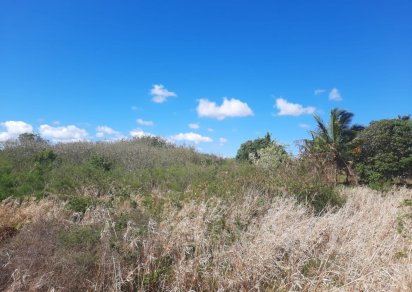 Terrain résidentiel - 4920 m²
