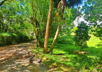 Terrain résidentiel - 5332 m²
