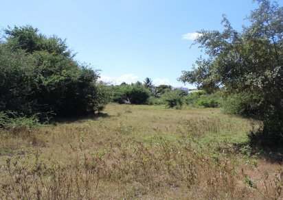 Terrain résidentiel - 5611 m²