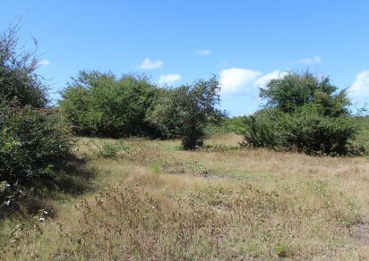 Terrain résidentiel - 5611 m²