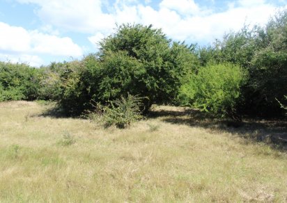 Terrain résidentiel - 5611 m²
