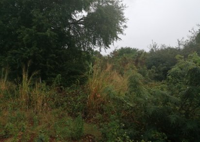 Terrain résidentiel - 8441 m²