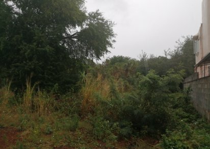 Terrain résidentiel - 8441 m²