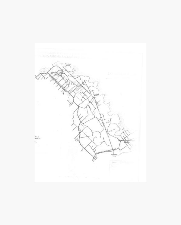 Agricultural land Buy in Ile d'Ambre 40,000,000 rupees Lexpress