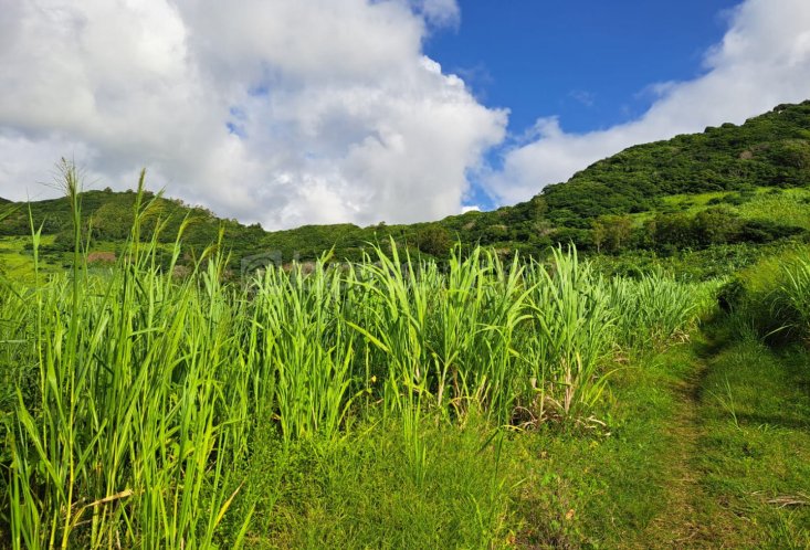 Agricultural land - 1069 m²