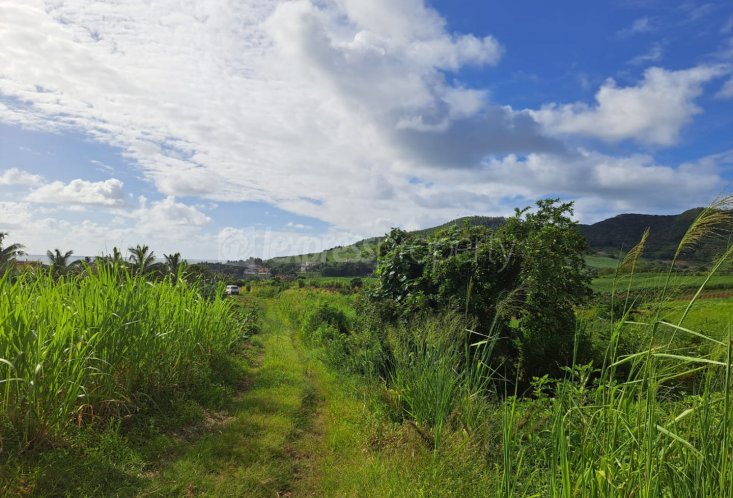 Agricultural land - 1069 m²