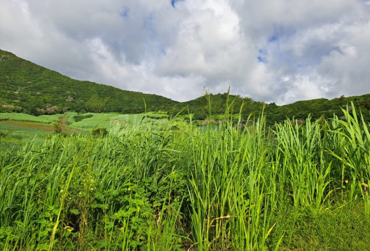 Agricultural land - 1069 m²
