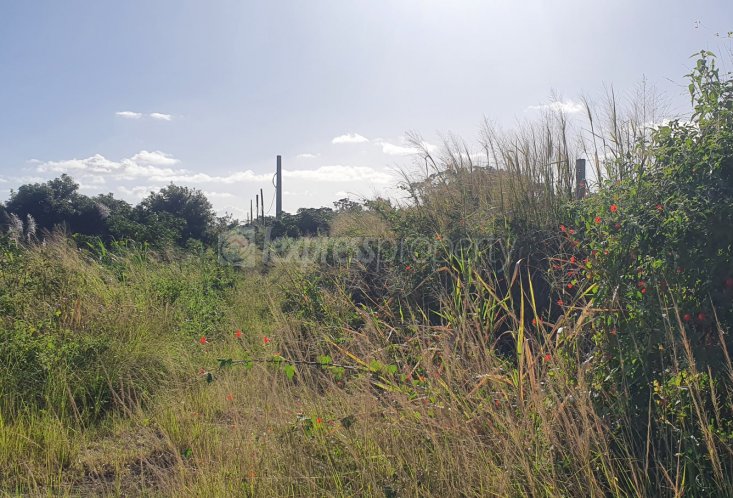 Agricultural land - 1983 m²