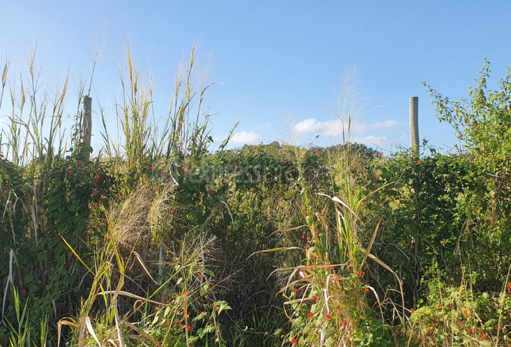 Agricultural land - 1983 m²