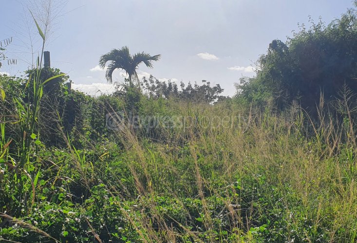 Agricultural land - 1983 m²