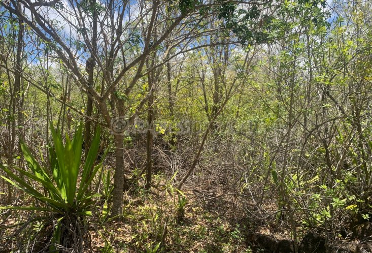 Agricultural land - 28069 m²