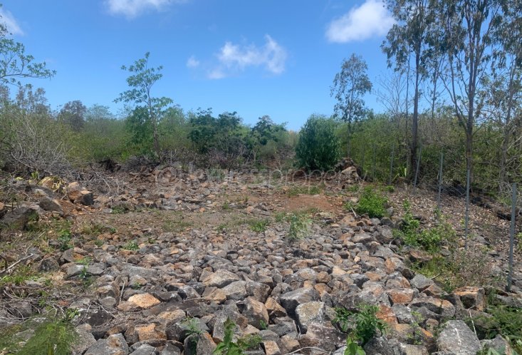 Agricultural land - 28069 m²