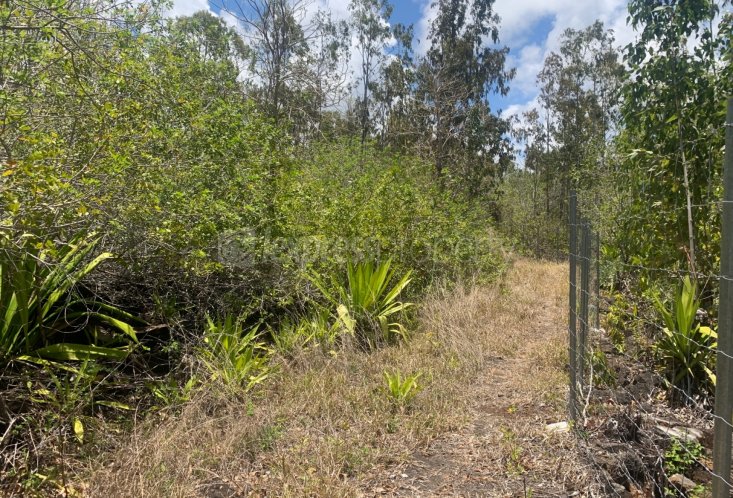 Agricultural land - 28069 m²
