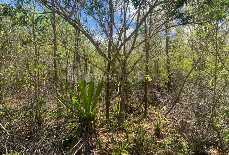 Agricultural land - 28069 m²