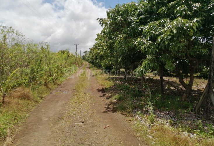 Agricultural land - 3418 m²