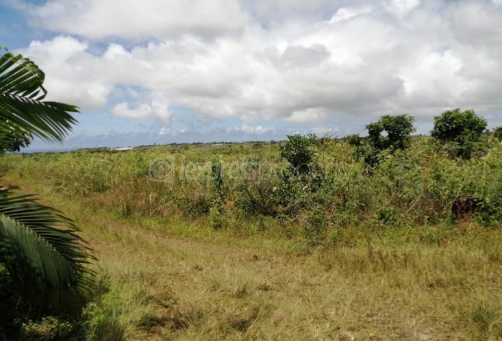 Agricultural land - 3418 m²