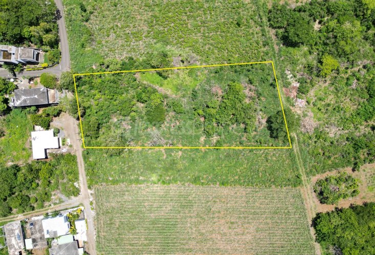 Agricultural land - 3952 m²