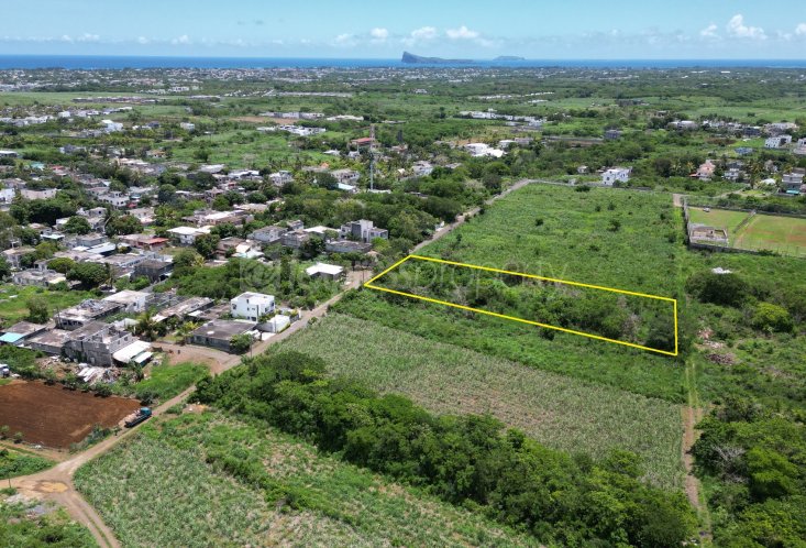 Agricultural land - 3952 m²