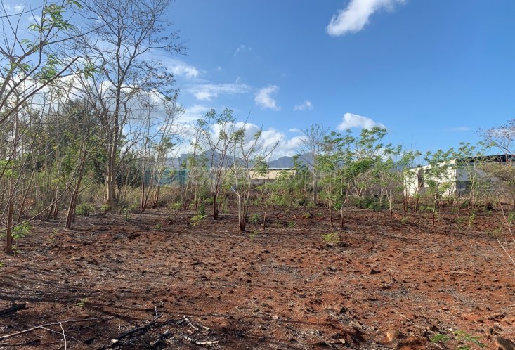 Agricultural land - 4220 m²