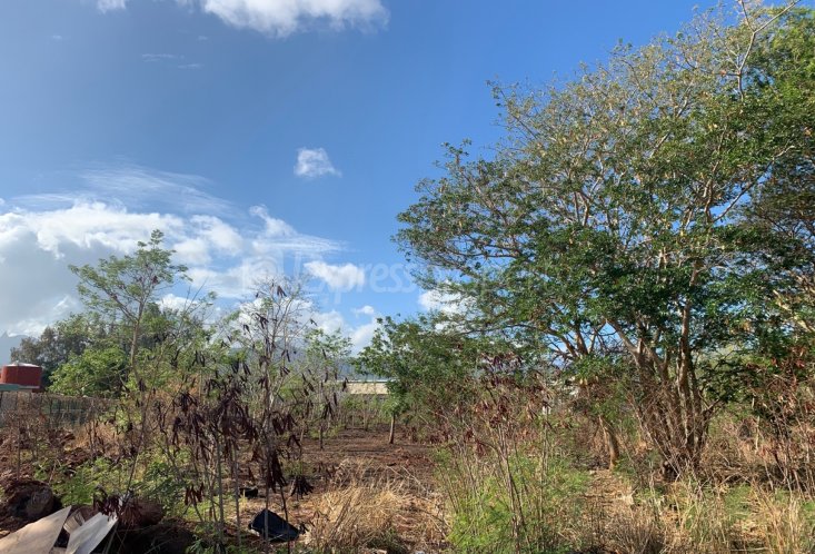 Agricultural land - 4220 m²