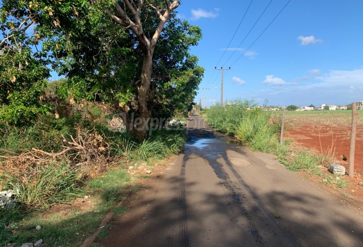 Agricultural land - 4220 m²