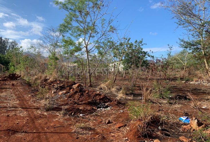 Agricultural land - 4220 m²