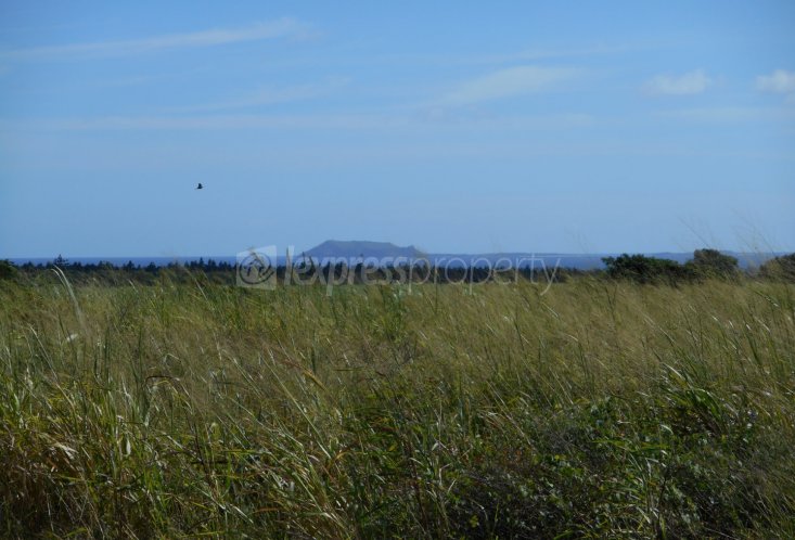 Agricultural land - 5276 m²