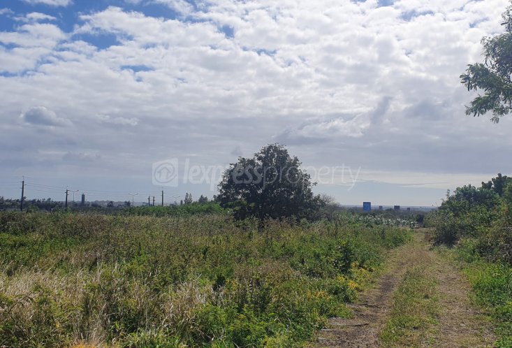 Agricultural land - 5300 m²