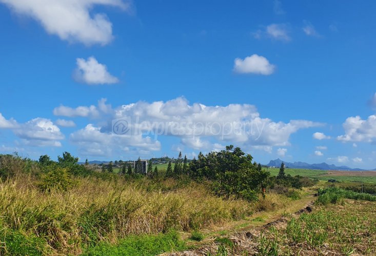 Agricultural land - 5300 m²