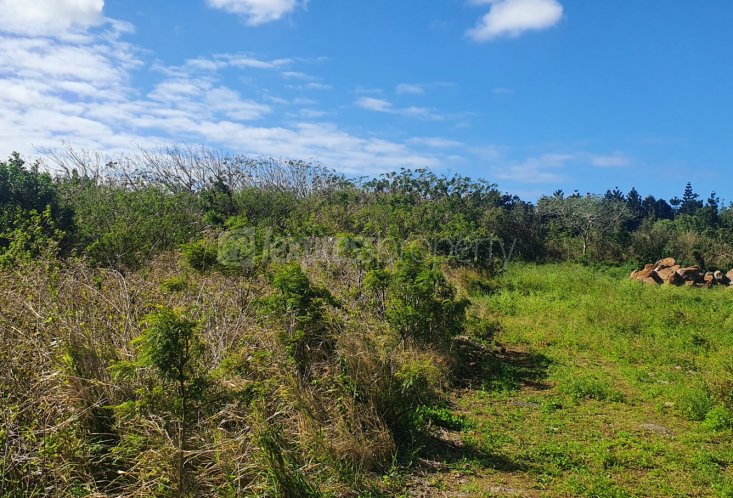 Agricultural land - 5300 m²