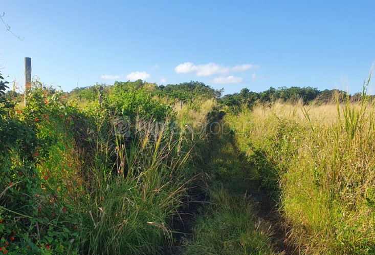 Agricultural land - 5972 m²