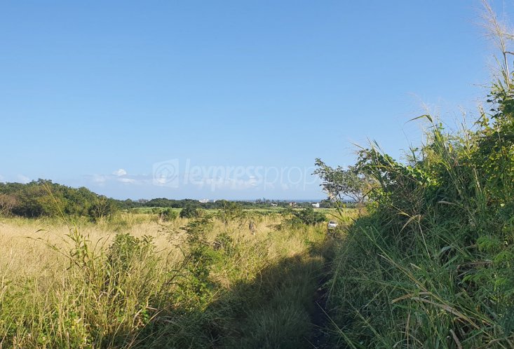 Agricultural land - 5972 m²
