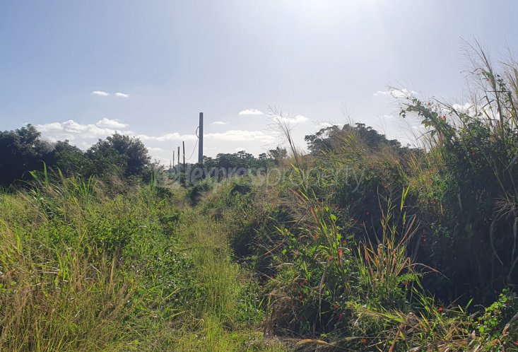 Agricultural land - 5972 m²