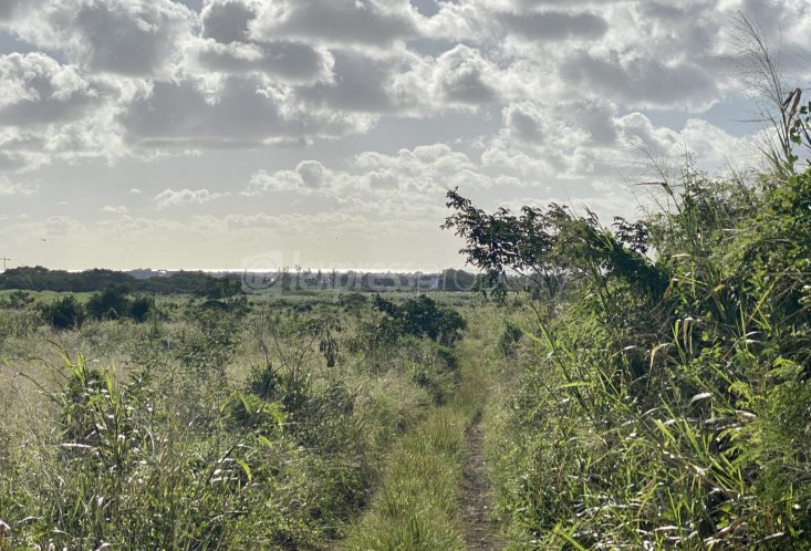 Agricultural land - 5976 m²