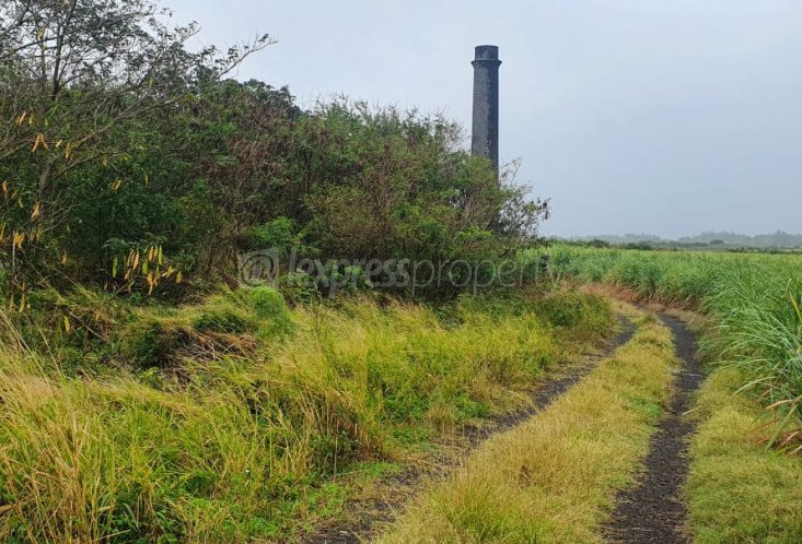 Agricultural land - 6262 m²