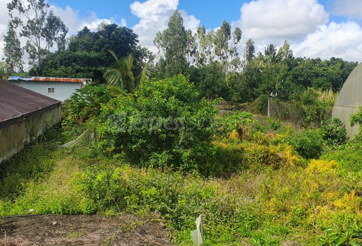 Agricultural land - 6759 m²