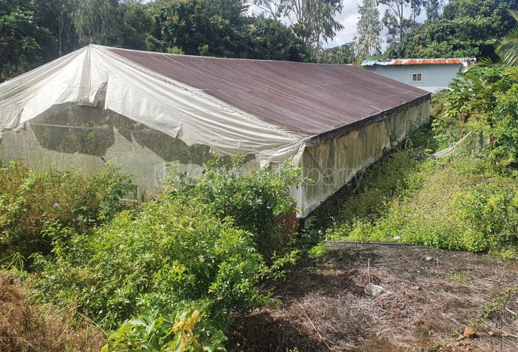 Agricultural land - 6759 m²