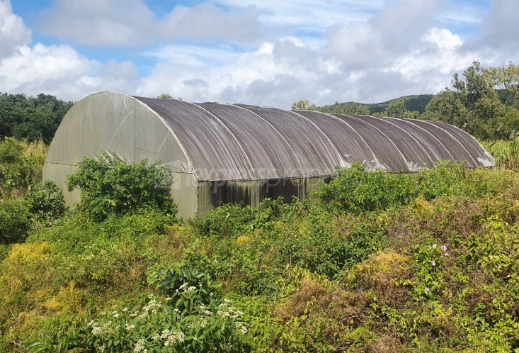 Agricultural land - 6759 m²