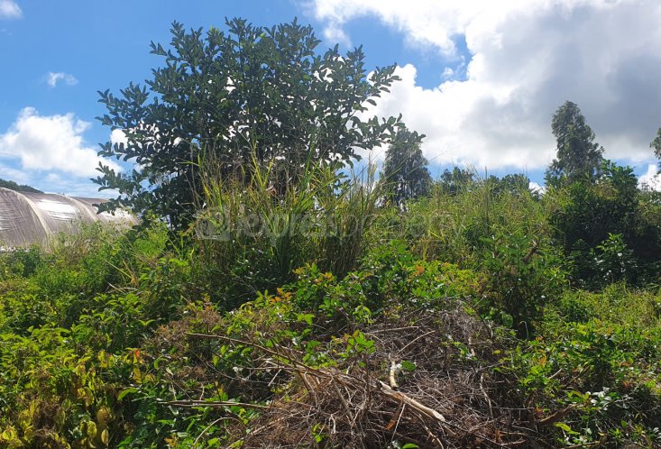Agricultural land - 6759 m²