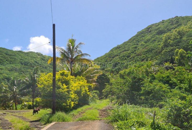 Agricultural land - 844 m²