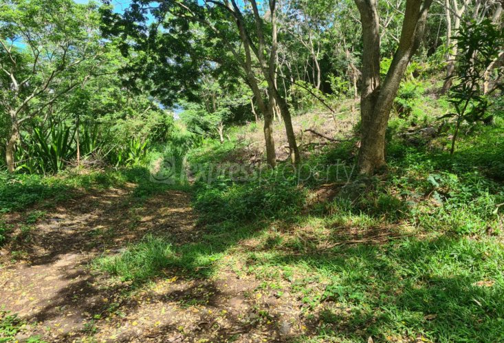 Agricultural land - 844 m²