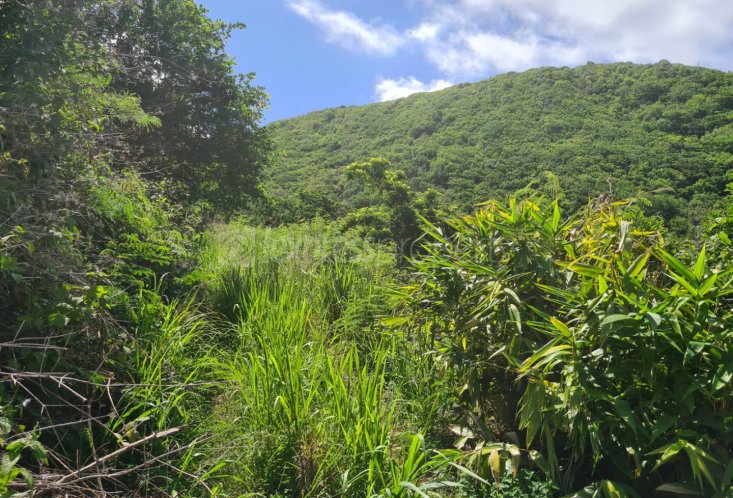 Agricultural land - 844 m²