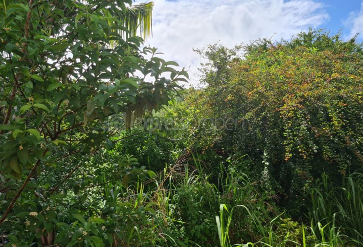 Agricultural land - 844 m²