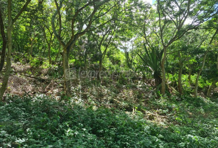 Agricultural land - 844 m²