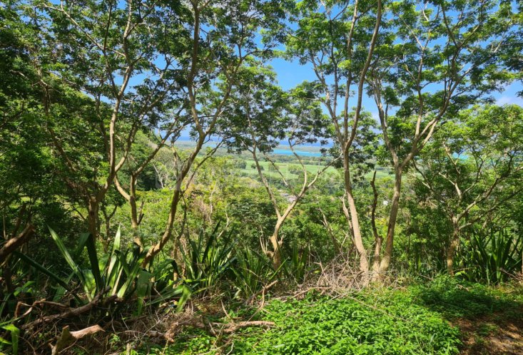 Agricultural land - 844 m²