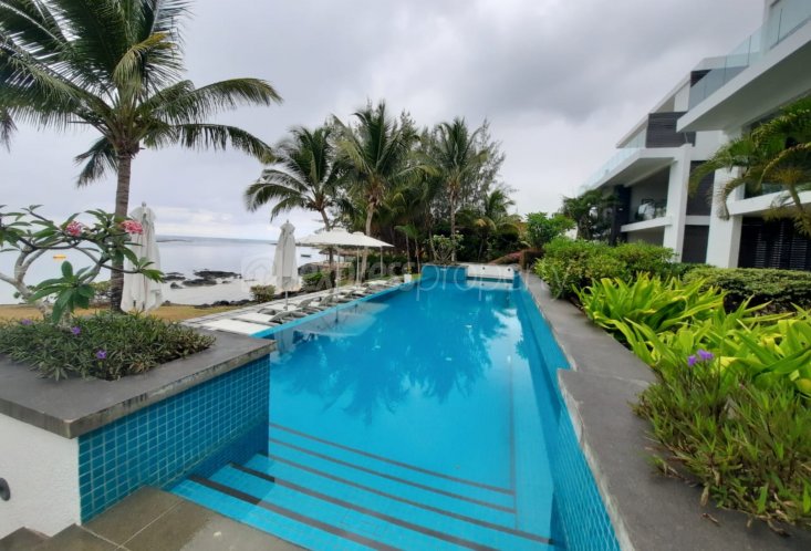 Apartment - 3 Bedrooms - 200 m²