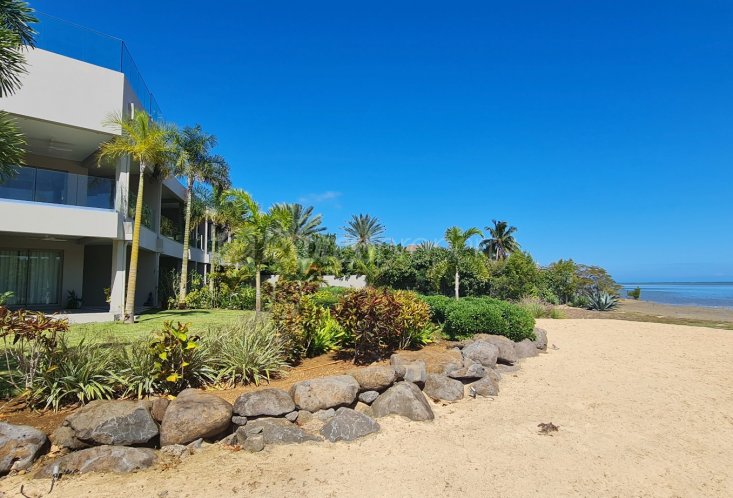 Apartment - 3 Bedrooms - 218 m²