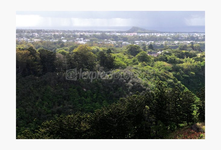 Apartment - 4 Bedrooms - 318 m²