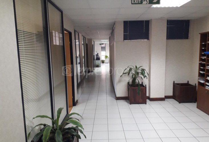 Bureau - 363 m²